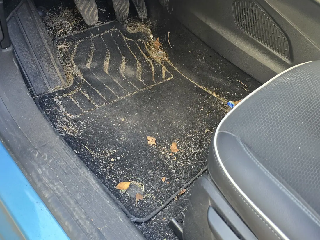 Plancher de véhicule couvert de terre et de feuilles